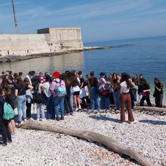 liberazione tartarughe Molfetta