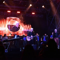 MolFest