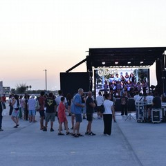 MolFest