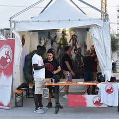 MolFest