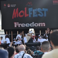 MolFest