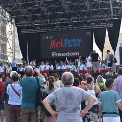 MolFest
