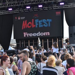 MolFest
