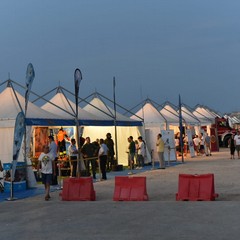 MolFest