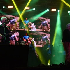 MolFest
