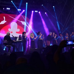 MolFest