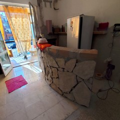 Occupazioni abusive