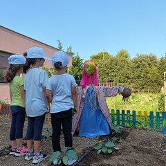 orto sociale dei bambini Molfetta