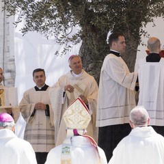 Papa Francesco a Molfetta