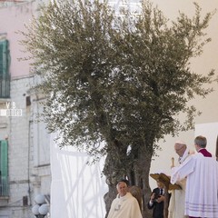 Papa Francesco a Molfetta