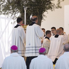 Papa Francesco a Molfetta