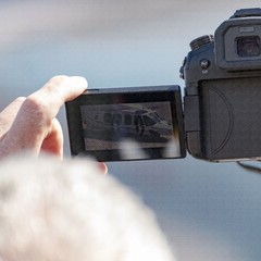 Papa Francesco a Molfetta