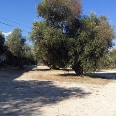 Parcheggio cimitero dopo pulizia