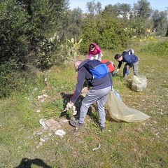Passeggiata ecologica Lama Martina