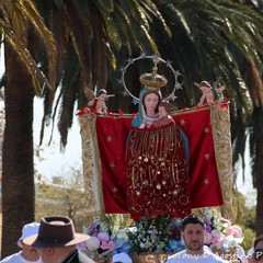 Processione Madonna dei Martiri Australia