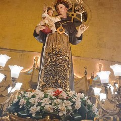 Processione SantAntonio Molfetta