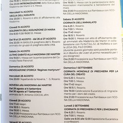 Programma festa patronale Molfetta