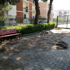 Pulizia Parco di Levante