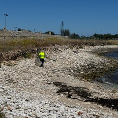Pulizia spiagge ASM