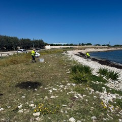 Pulizia spiagge ASM