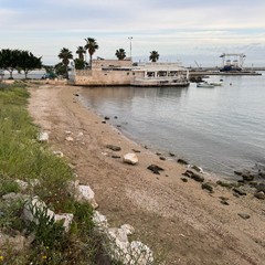 Pulizia spiagge ASM