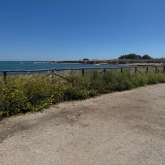 Pulizia spiagge ASM