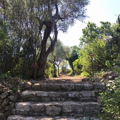 pulo lavori