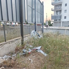 rifiuti molfetta