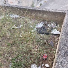 rifiuti molfetta