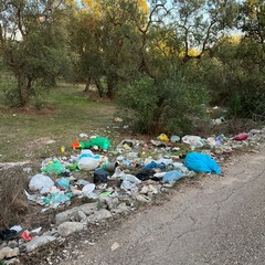 Rifiuti nellagro di Molfetta