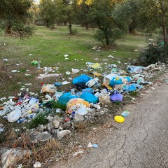 Rifiuti nellagro di Molfetta