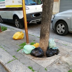 rifiuti per strada