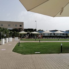 Vax day discoteche
