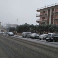 Neve del 6 gennaio 2017