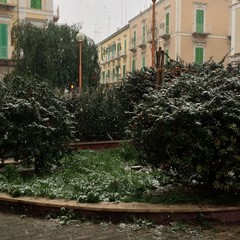 Neve del 6 Gennaio 2017