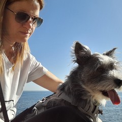 Giornata mondiale del cane 2025
