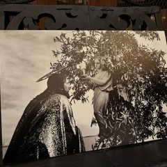 "Il taglio della frasca": un reportage fotografico sulla tradizione quaresimale molfettese