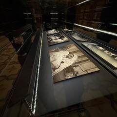 "Il taglio della frasca": un reportage fotografico sulla tradizione quaresimale molfettese