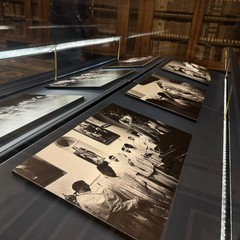 "Il taglio della frasca": un reportage fotografico sulla tradizione quaresimale molfettese