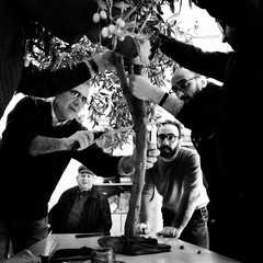 "Il taglio della frasca": un reportage fotografico sulla tradizione quaresimale molfettese