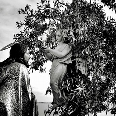 "Il taglio della frasca": un reportage fotografico sulla tradizione quaresimale molfettese