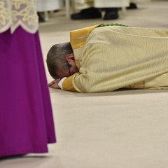 Il Palazzetto di Andria si fa Cattedrale per l'abbraccio al nuovo Vescovo Basile