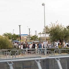 Sal da Vinci a Molfetta