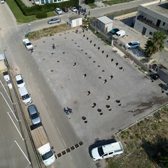 Comprensorio ASI del Comune di Molfetta