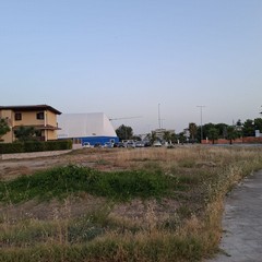 Sterpaglie e rifiuti alla rotatoria di via Bettino Craxi