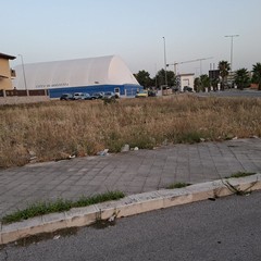 Sterpaglie e rifiuti alla rotatoria di via Bettino Craxi