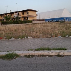 Sterpaglie e rifiuti alla rotatoria di via Bettino Craxi
