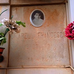 Molfetta riscopre la sua storia: una serata dedicata alla memoria della città