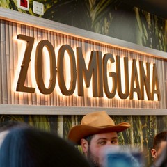 Zoomiguana
