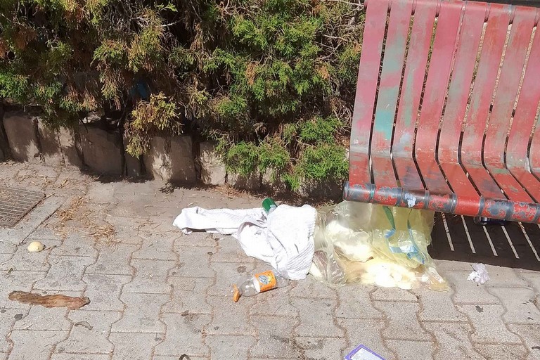 iReport: Rifiuti abbandonati nelle aree verdi di Molfetta: la segnalazione